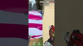 Insane Phoenix 4K on Haven