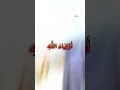 اولياء الله