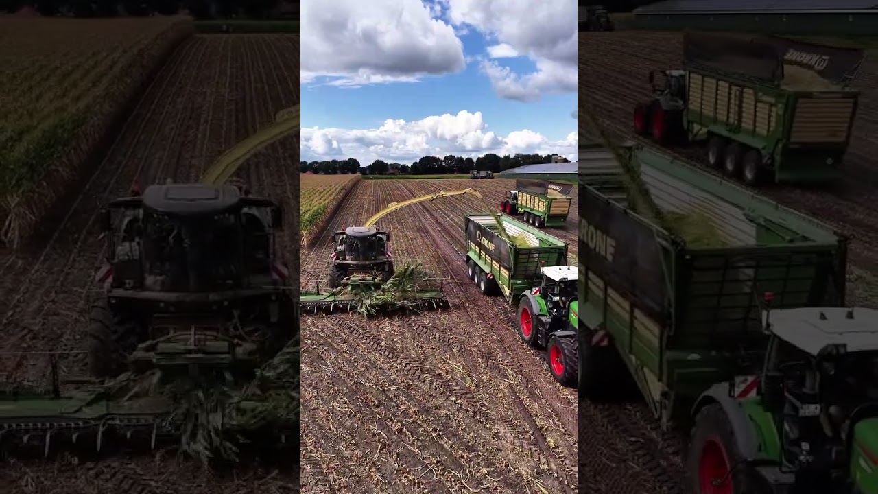 Da fällt der Mais 🌽