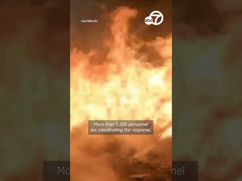 Video shows conditions