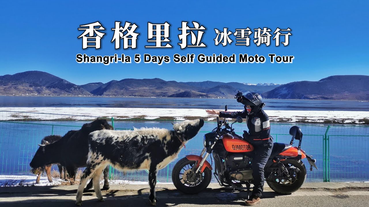 【云南】丽江-香格里拉冬季摩旅、此生必驾G214、冰上骑行太可怕｜马来西亚女骑のMotovlog #摩旅 #女骑 #香格里拉