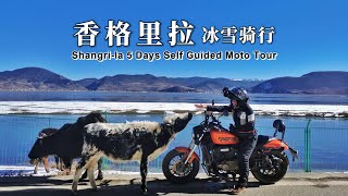 【Yunnan】Riding on ice is SCARY! Winter ride from Lijiang to ShangrilaMust ride route G214