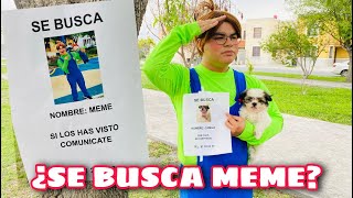 SE BUSCA MEME / MEME NECESITA DINERO