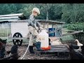 8 Year Old Takes Over The Farm Chores!