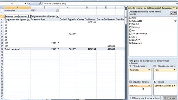 Excel 2007 tutoriel 8 - Fonctions avancées des tableaux croisés dynamiques