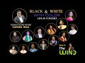 Black  white with color  live music concert part 2