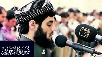 سورة التحريم - رعد محمد الكردي