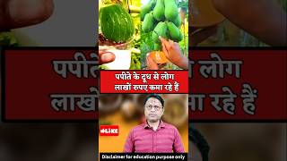 पपत क दध इतन महग कय ह