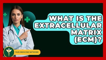 What Is The Extracellular Matrix (ECM)? - Pain Medicine Network