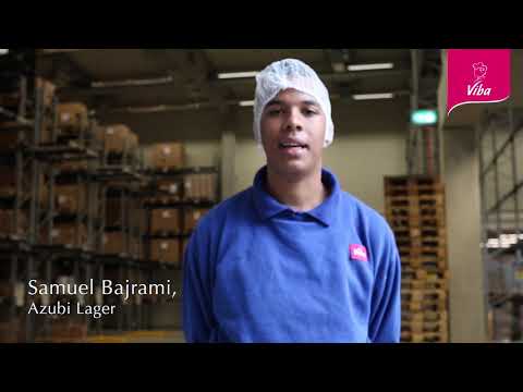 Karriere bei Viba