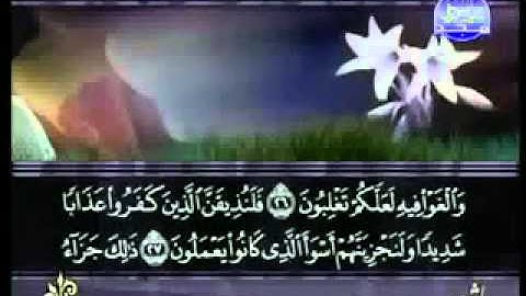 سورة فصلت كاملة الشيخ سعد الغامدي