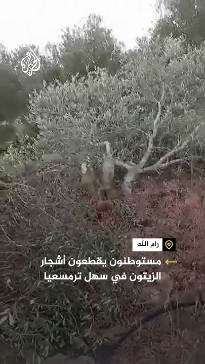             
 - نشر قبل 8 دقيقة