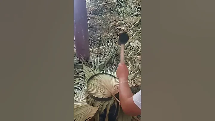 Palm Leaf Fan Making Process