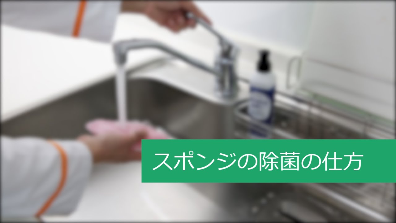 スポンジの除菌の仕方 Lidea Youtube