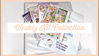 ENTIRE PLANNER KIT COLLECTION // ft. CaressPress, GlamPlanner, Papershire, ScribblePrintsCo etc.