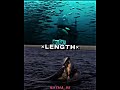 killer whale vs great white shark #fypシ #edit #spinosaurusgen2 #dinosaur #kingmonster #рекомендации