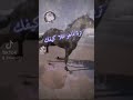 جديد ابو حمظله دموعي حرقت عيني جديد ابو حمظله دموعي حرقت عيني