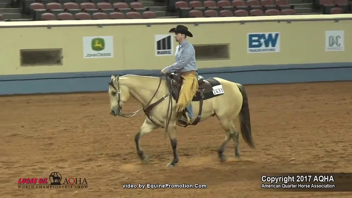 PEPTOSKINGPLAY ridden by JAMES PUDERBAUGH  - 2017 ...