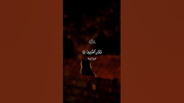 وبشر الصابرين…تلاوة تهز القلوب😴♡| #قرآن #تلاوة_خاشعة #فارس_عباد #راحة_نفسية #تابعوني #اكسبلور #لايك