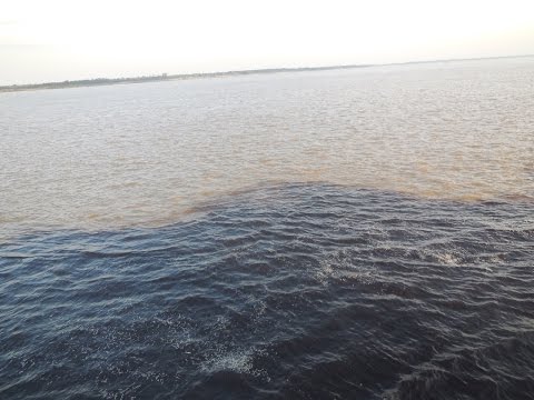 Amazon and Rio Negro Rivers Meeting of the Waters in Brazil