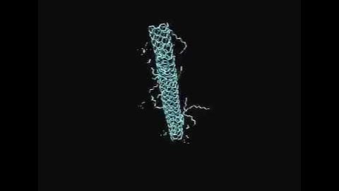 Molecular dynamics simulation of POPC membrane fragment with carbon nanotube