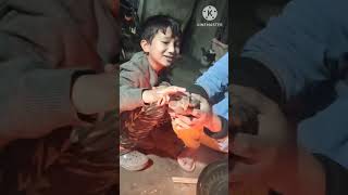 Manipur Indigenous Fighting Cock Kaunayen Forever Kangleipak