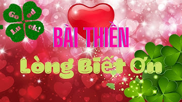 Lòng Biết Ơn | Luật hấp dẫn |  Biết ơn | Lòng biết ơn mỗi sáng | Tâm An Vui- Giàu Toàn Diện
