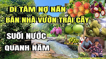 Dì tám nợ nần, bán gấp, Vườn đủ loại trái cây, suối nước quanh năm, có nhà vườn, Tp, Long Khánh cũ