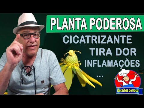 Vídeo: Informações sobre o corte de topos de plantas de ervas