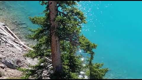 تلاوة عطرة من سورة الحجرات بصوت الشيخ بندر العنبري لصلاة التراويح 1439