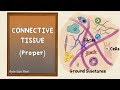 Connective Tissue Quiz