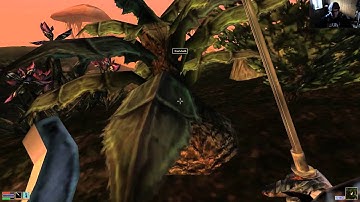 Afro Explosion - Morrowind Playthrough - Part 35