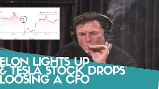 Elon Smokes Marijuana on @JoeRogan Podcast \& @Tesla Stock Drops