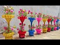 Recycle Plastic Bottles into Beautiful Moss Roses Flower Pots For Garden | Moss Rose from Cuttings