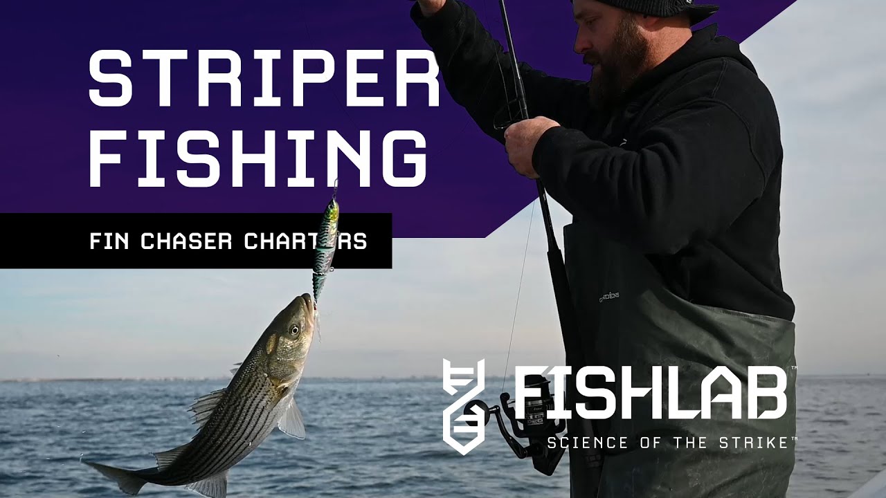 Striper Fishing with Fin Chaser Charters and FishLab 
