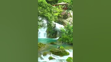 تلاوة مباركة من سورة ألكهف. ألشيخ رعد محمد ألكردي