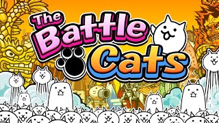 The Battle Cats: Total War: Spring Special [Completo], Meow Medals, Refined Palate e Hunter's map 2