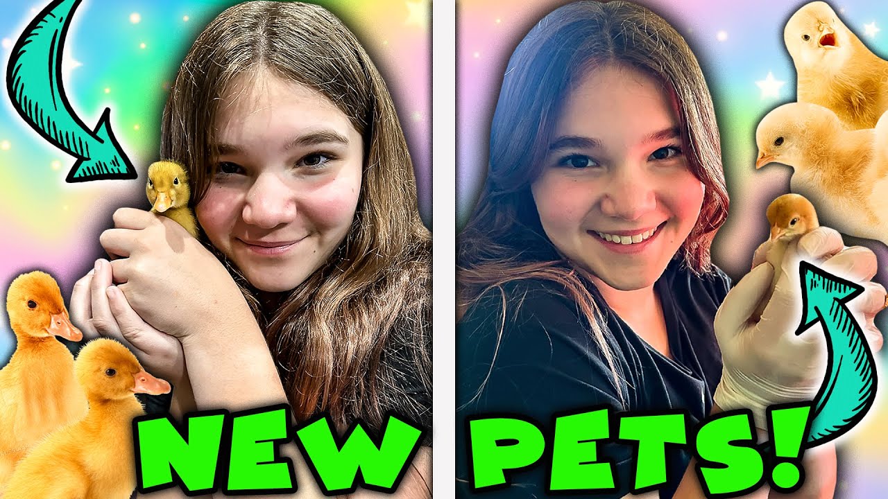 New Pet Reveal!