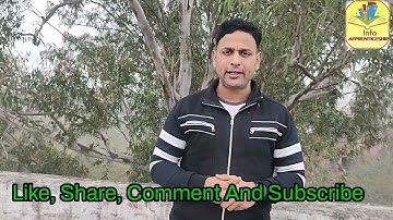 Termination Contract of apprenticeship information