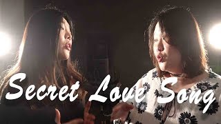 Little Mix - Secret Love Song [COVER]