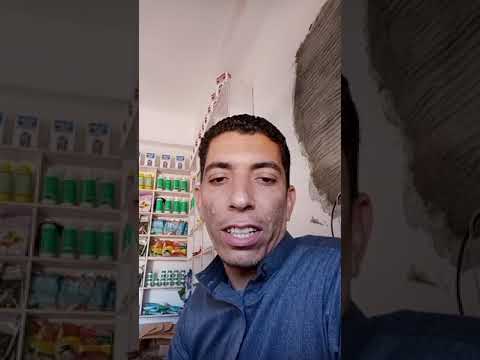 الأصل غلاب