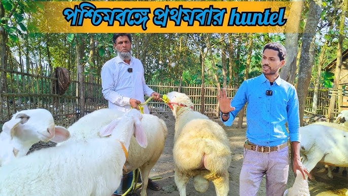 Paypoqda xotinim bilan uy qurilishi erotik jinsiy aloqa Onlayn porno Elena Berkova Vikinglar