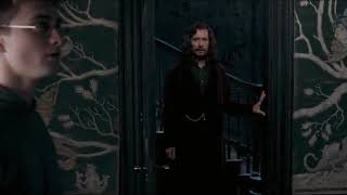 My parents - Harry Potter and the Order of the Phoenix