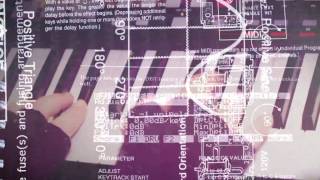 Video thumbnail of "The Magnetic Fields - '81 How to Play the Synthesizer (Official Video)"