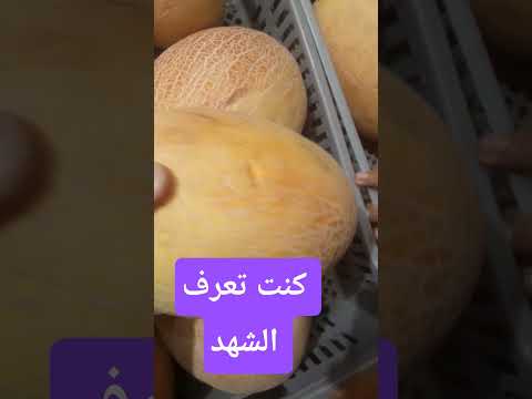 الشهد والكنتالوب الفرنساوي فواكه صيفية  فوائد تغذيه
