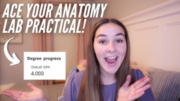 how to ACE your anatomy lab practical *update*