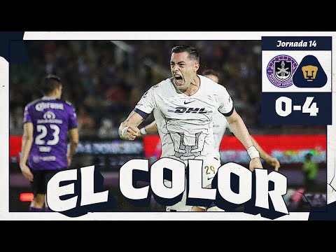 Mazatlán vs. Pumas | Jornada 14 CL24 | Color Suzuki