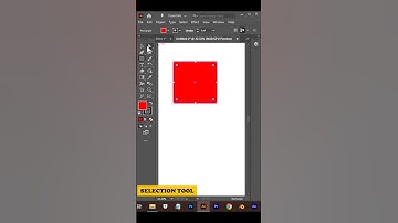 Selection & Direct Selection Tools in Illustrator