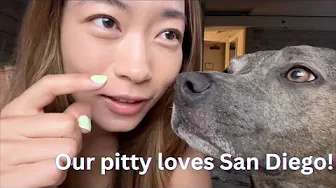San Diego Adventure with our Adorable Puppy!