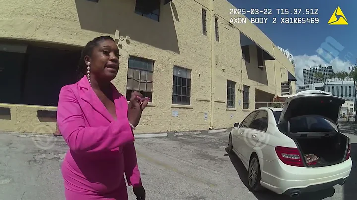 Black Female Lawyer Vs Arrogant Cop